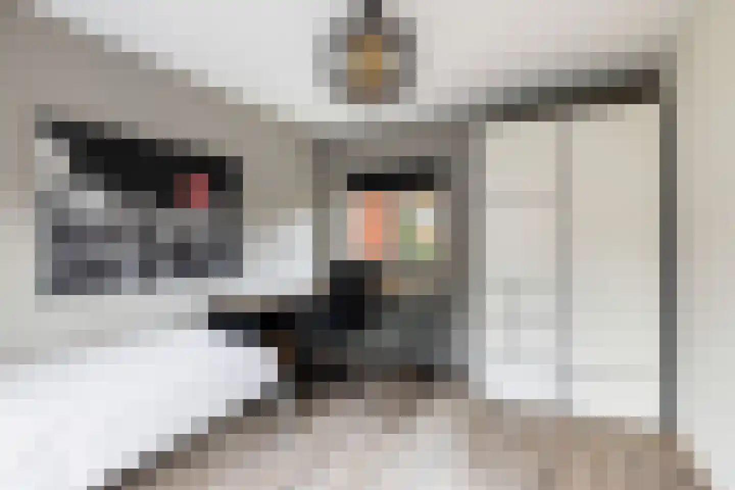 de Eem 12 Woerden thumbnail 20