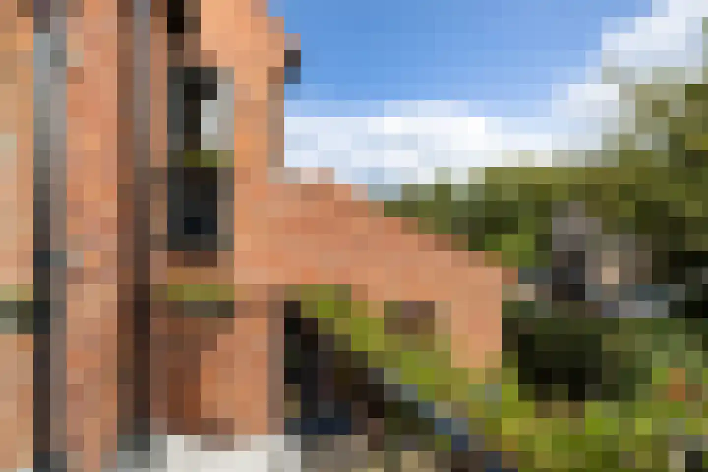 de Eem 12 Woerden thumbnail 24