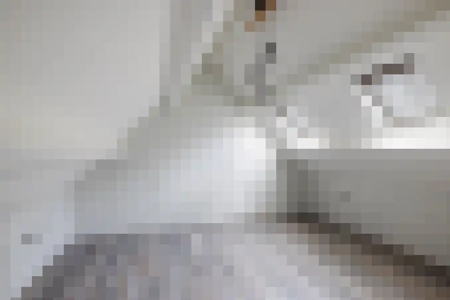 de Eem 12 Woerden thumbnail 31