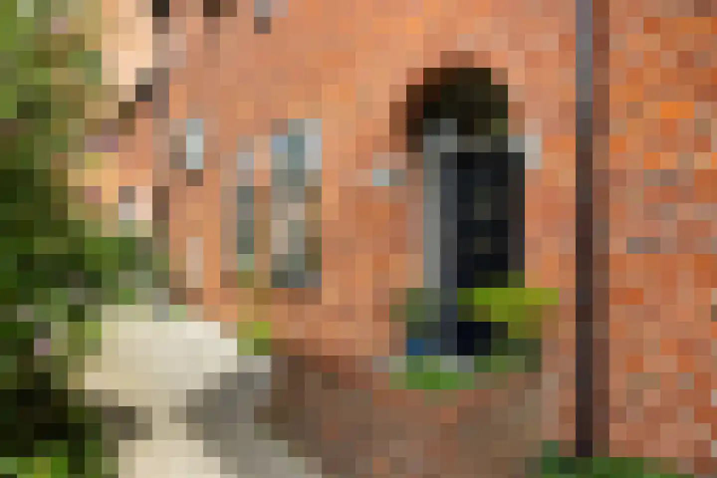 de Eem 12 Woerden thumbnail 6