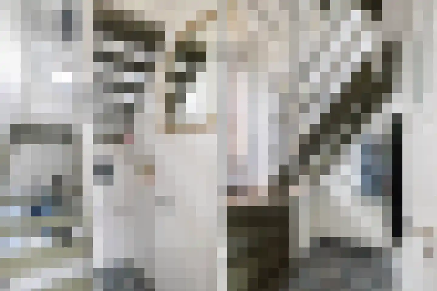de Eem 12 Woerden thumbnail 7