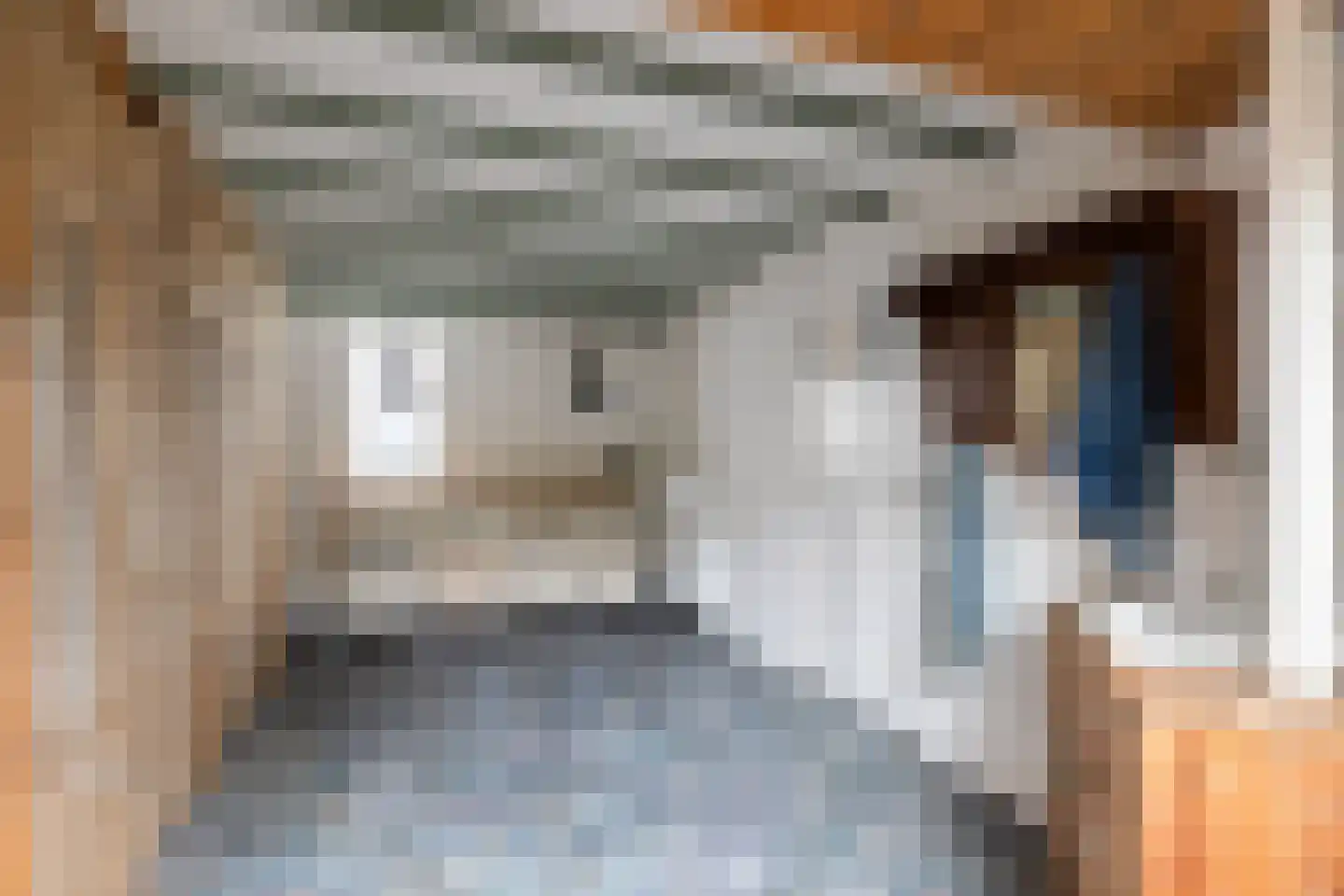 de Eem 12 Woerden thumbnail 8