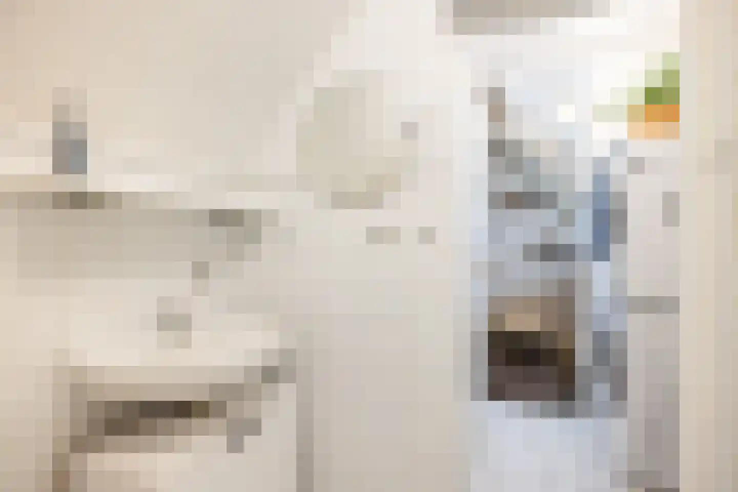de Eem 48 Woerden thumbnail 17