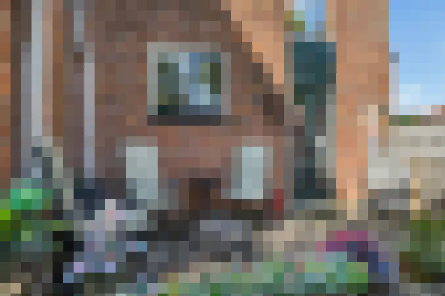 de Eem 48 Woerden thumbnail 23