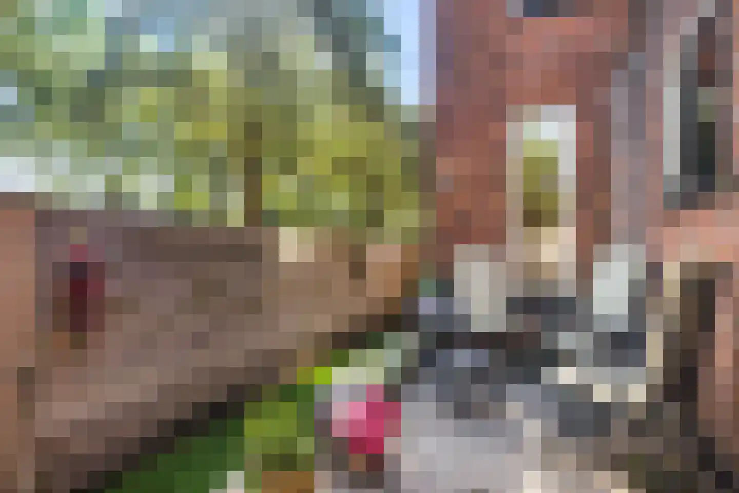 de Eem 48 Woerden thumbnail 24