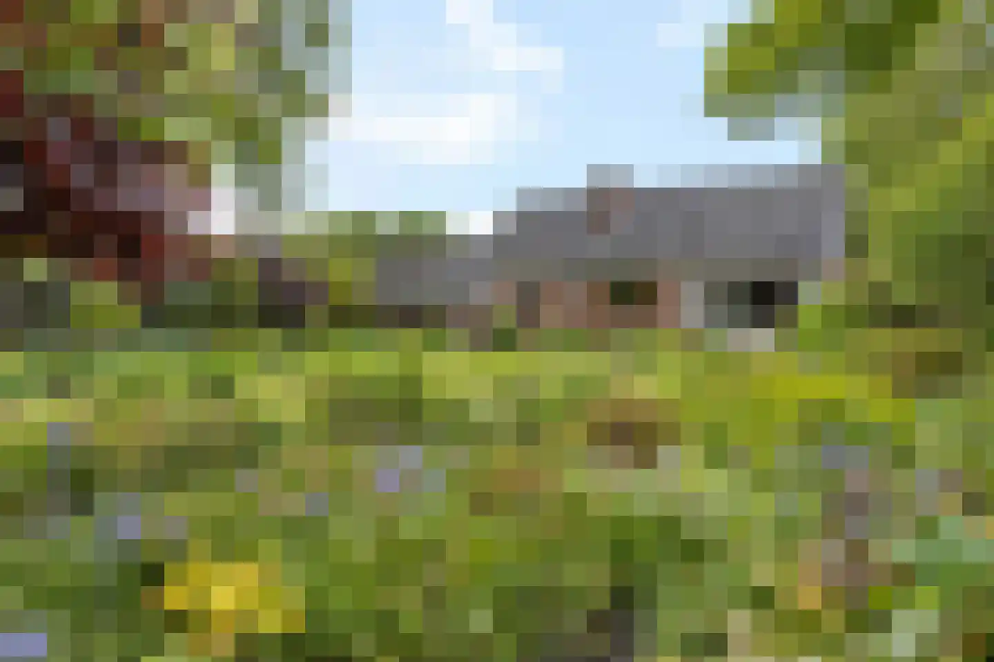 de Eemshorn 16 Delfzijl thumbnail 41