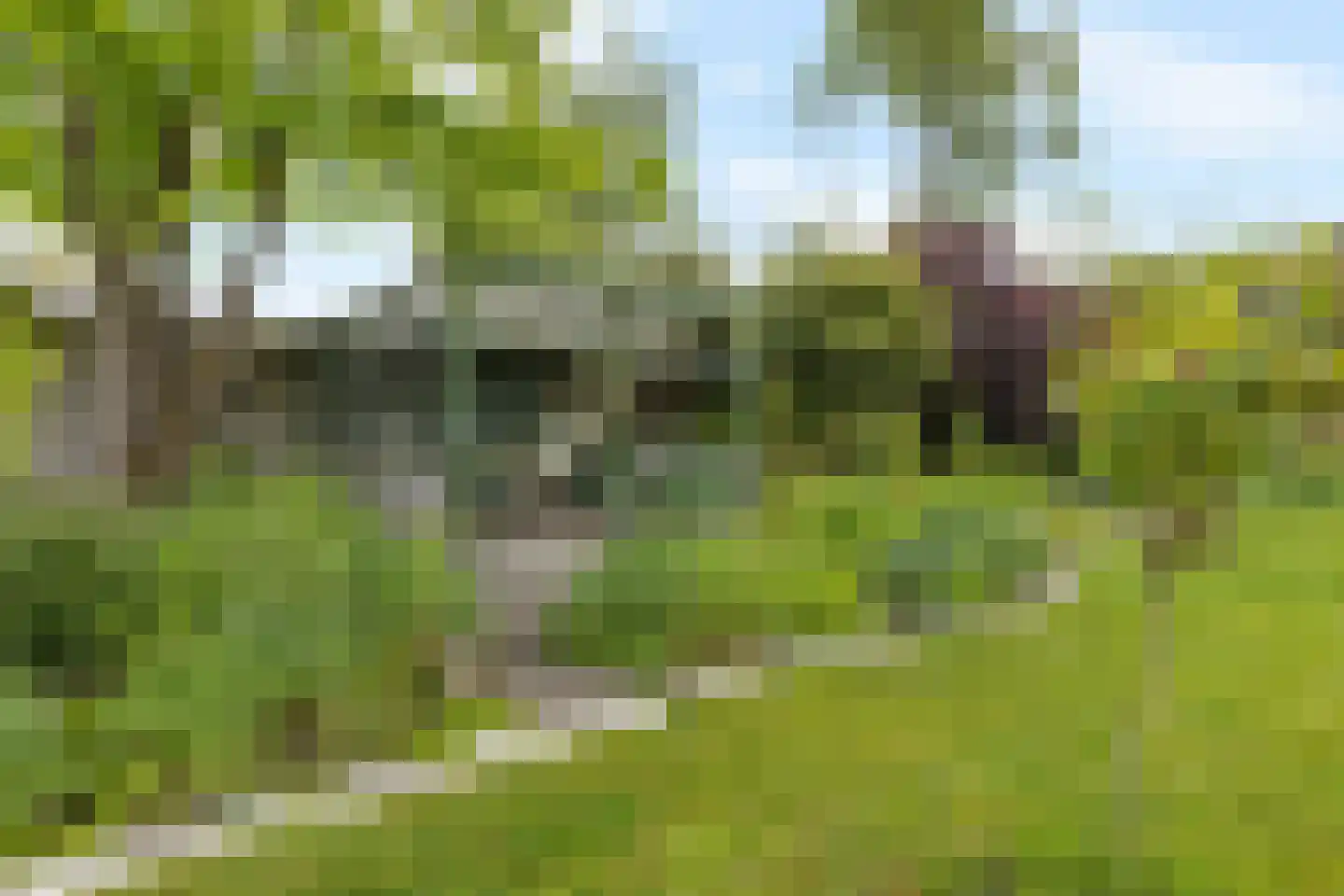de Eemshorn 16 Delfzijl thumbnail 43