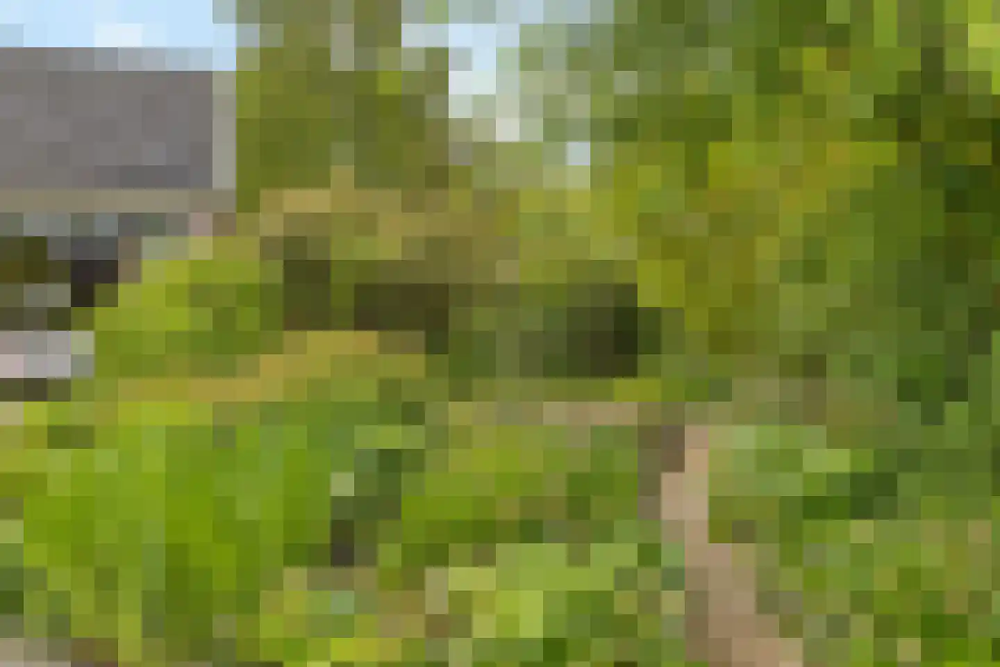 de Eemshorn 16 Delfzijl thumbnail 46