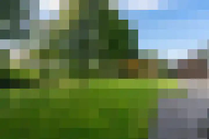 de Eemshorn 8 Delfzijl thumbnail 24