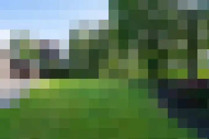 de Eemshorn 8 Delfzijl thumbnail 25
