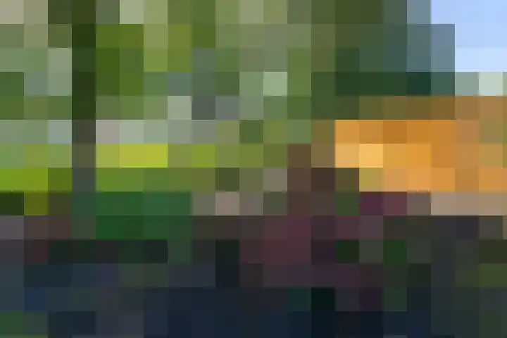 de Eemshorn 8 Delfzijl thumbnail 27
