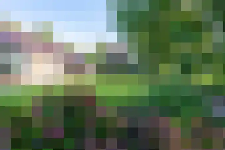 de Eemshorn 8 Delfzijl thumbnail 30