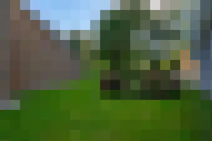 de Eemshorn 8 Delfzijl thumbnail 31