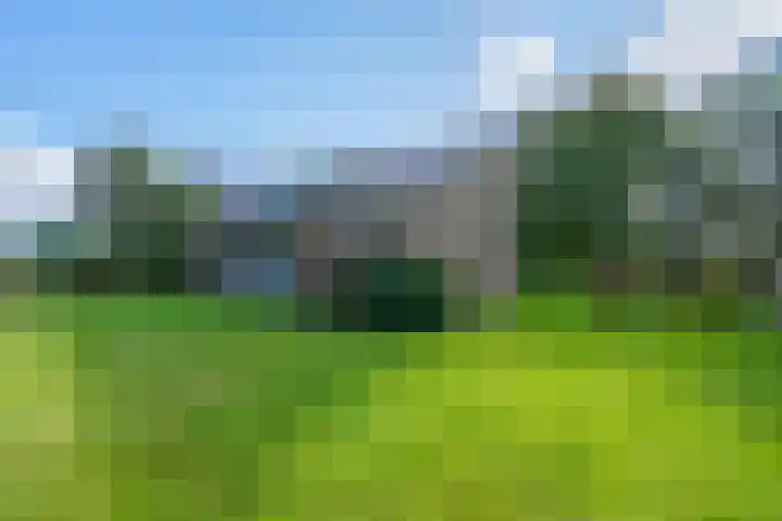 de Eemshorn 8 Delfzijl thumbnail 32