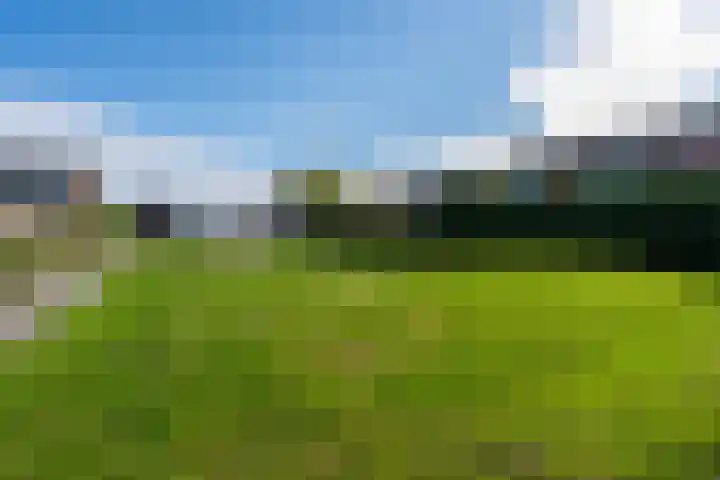 de Eemshorn 8 Delfzijl thumbnail 35