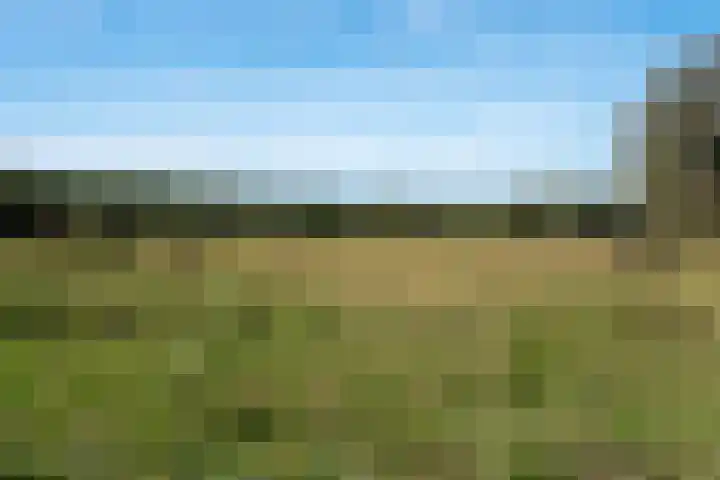 de Eemshorn 8 Delfzijl thumbnail 36
