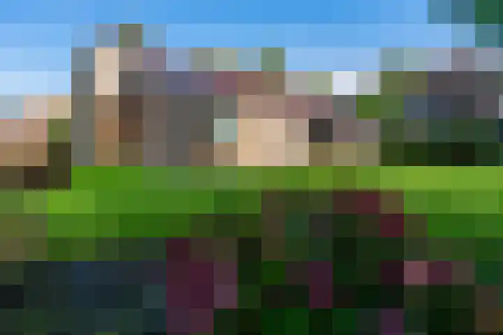 de Eemshorn 8 Delfzijl thumbnail 4
