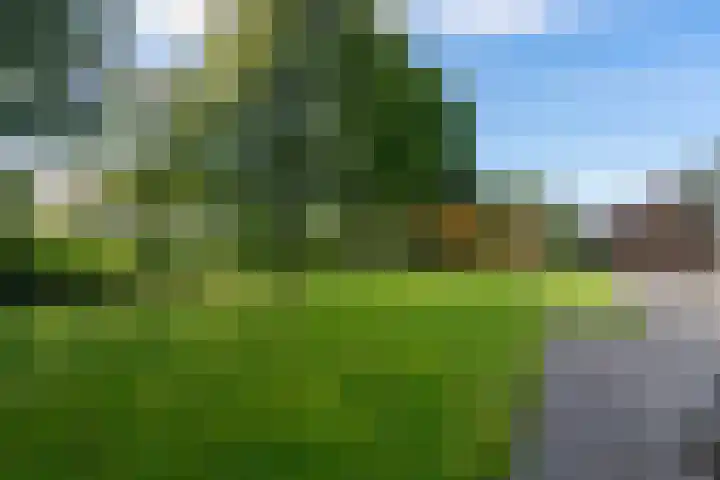 de Eemshorn 8 Delfzijl thumbnail 5