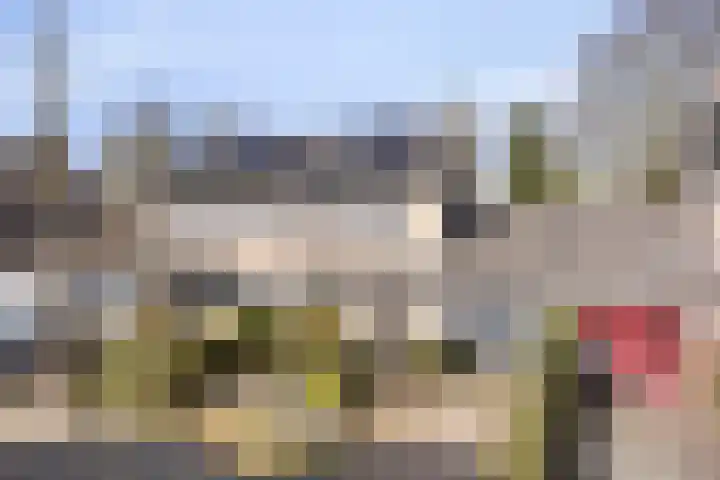 De Eendenkooi 7 en Dronten