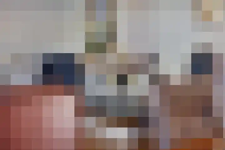 De Eendenkooi 7 Dronten thumbnail 11