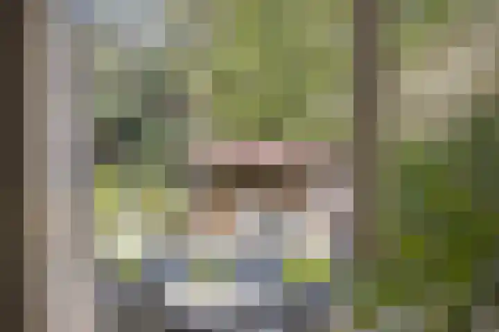De Eendenkooi 7 Dronten thumbnail 12