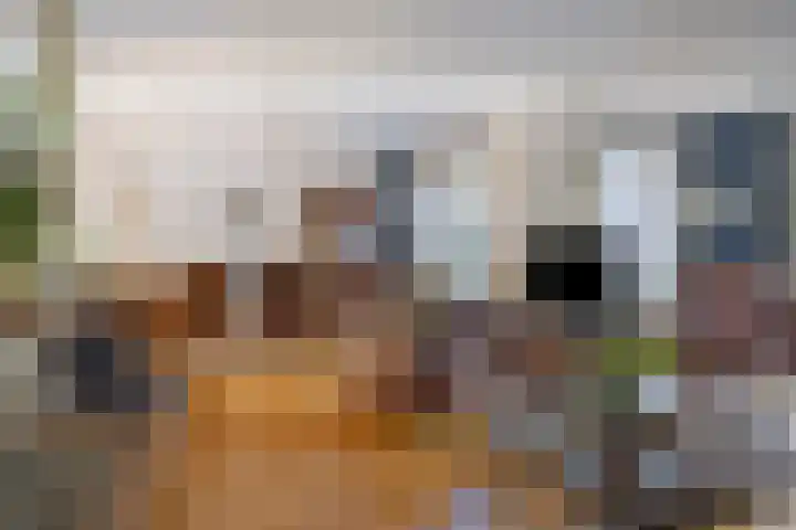 De Eendenkooi 7 Dronten thumbnail 13