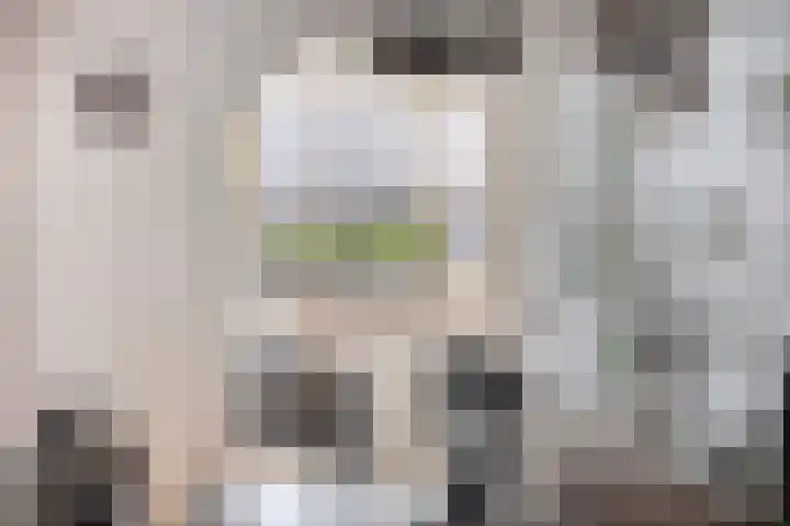 De Eendenkooi 7 Dronten thumbnail 15
