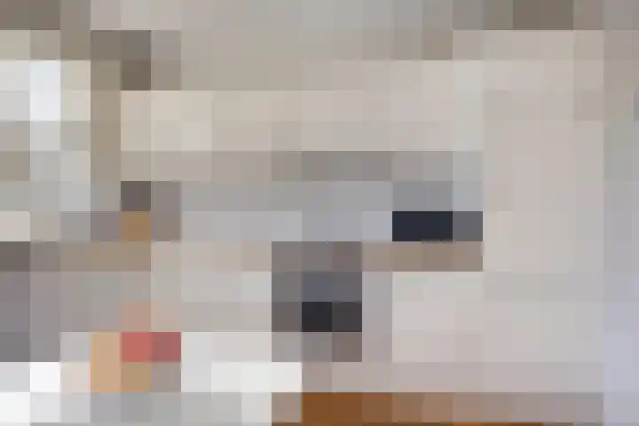 De Eendenkooi 7 Dronten thumbnail 18