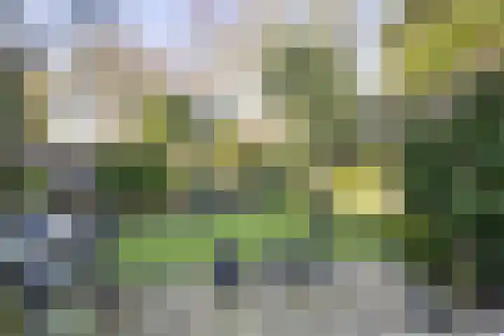 De Eendenkooi 7 Dronten thumbnail 30