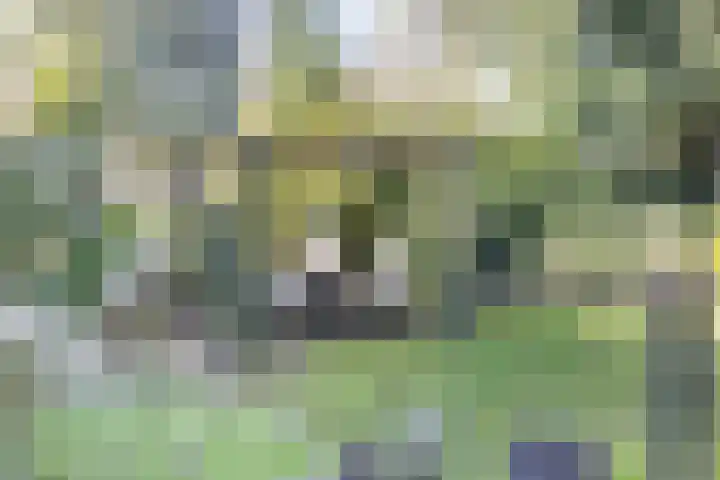 De Eendenkooi 7 Dronten thumbnail 31