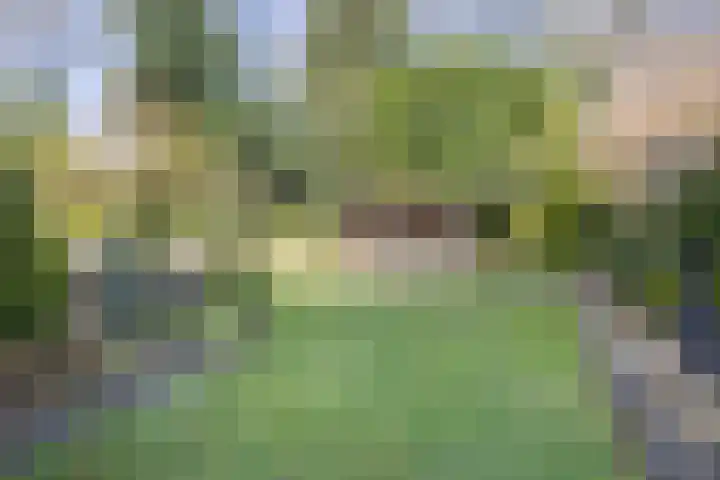 De Eendenkooi 7 Dronten thumbnail 32