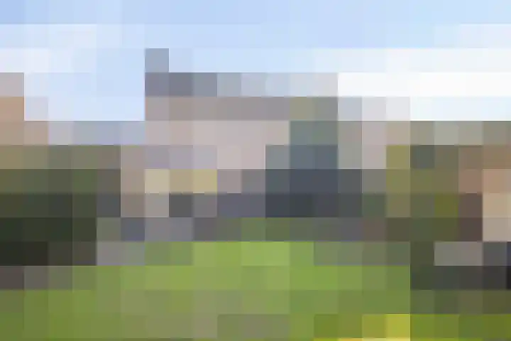 De Eendenkooi 7 Dronten thumbnail 34