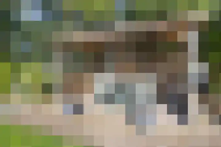 De Eendenkooi 7 Dronten thumbnail 35