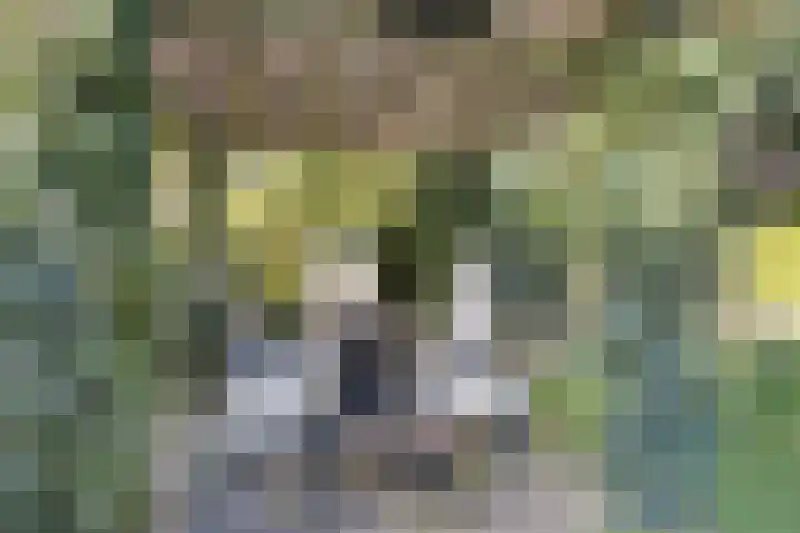De Eendenkooi 7 Dronten thumbnail 36