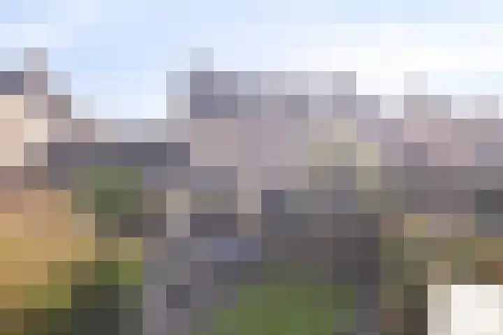 De Eendenkooi 7 Dronten thumbnail 37