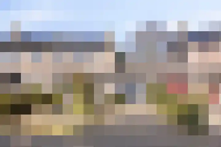 De Eendenkooi 7 Dronten thumbnail 38