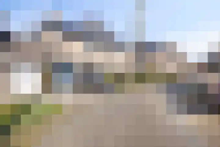 De Eendenkooi 7 Dronten thumbnail 40