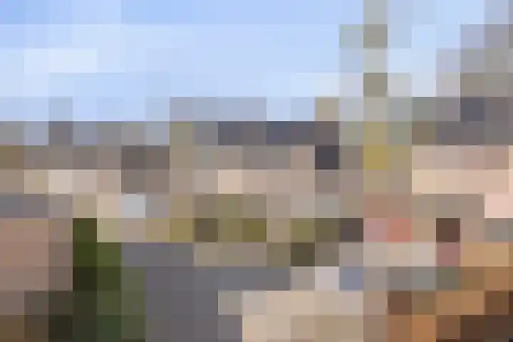 De Eendenkooi 7 Dronten thumbnail 42