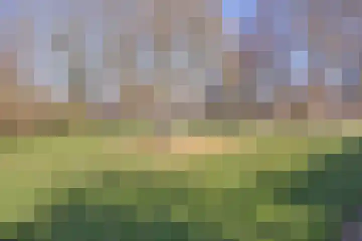 De Eendenkooi 7 Dronten thumbnail 43