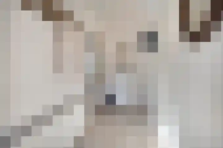 De Eendenkooi 7 Dronten thumbnail 7