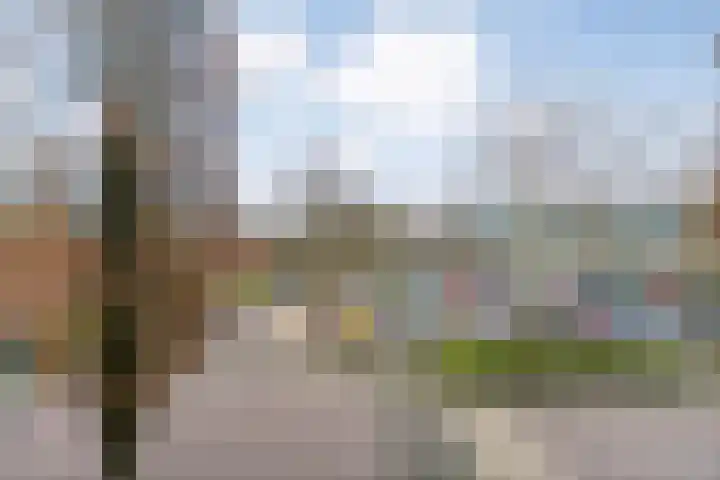 De Eendracht 109 Tubbergen thumbnail 20