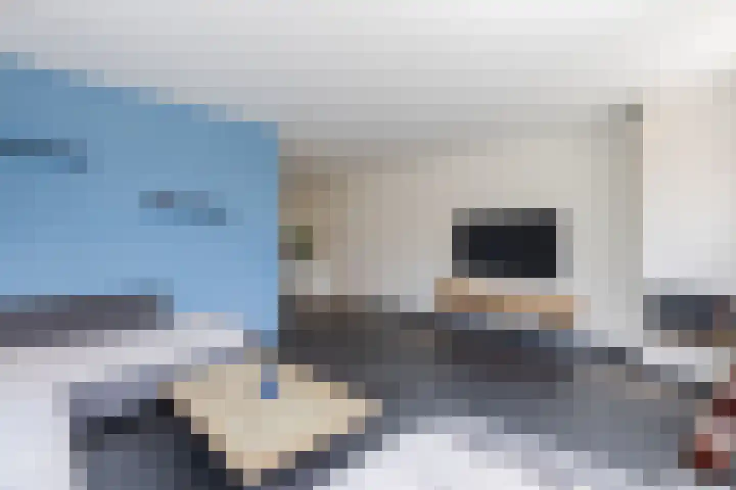 De Eendracht 11 Zuidschermer thumbnail 10
