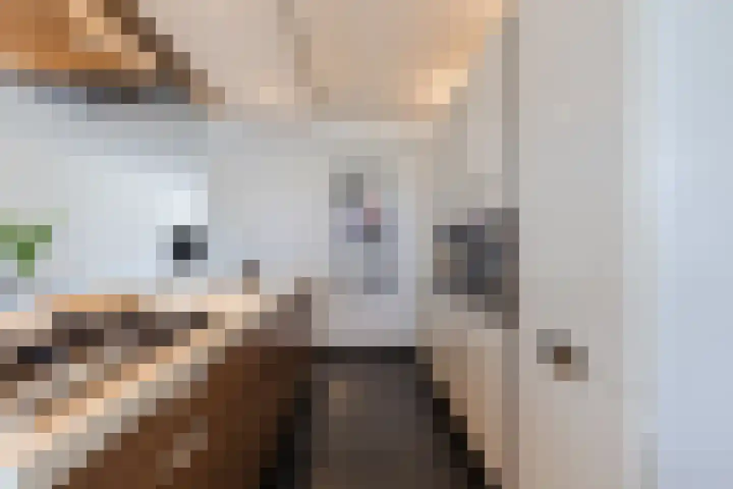 De Eendracht 11 Zuidschermer thumbnail 14