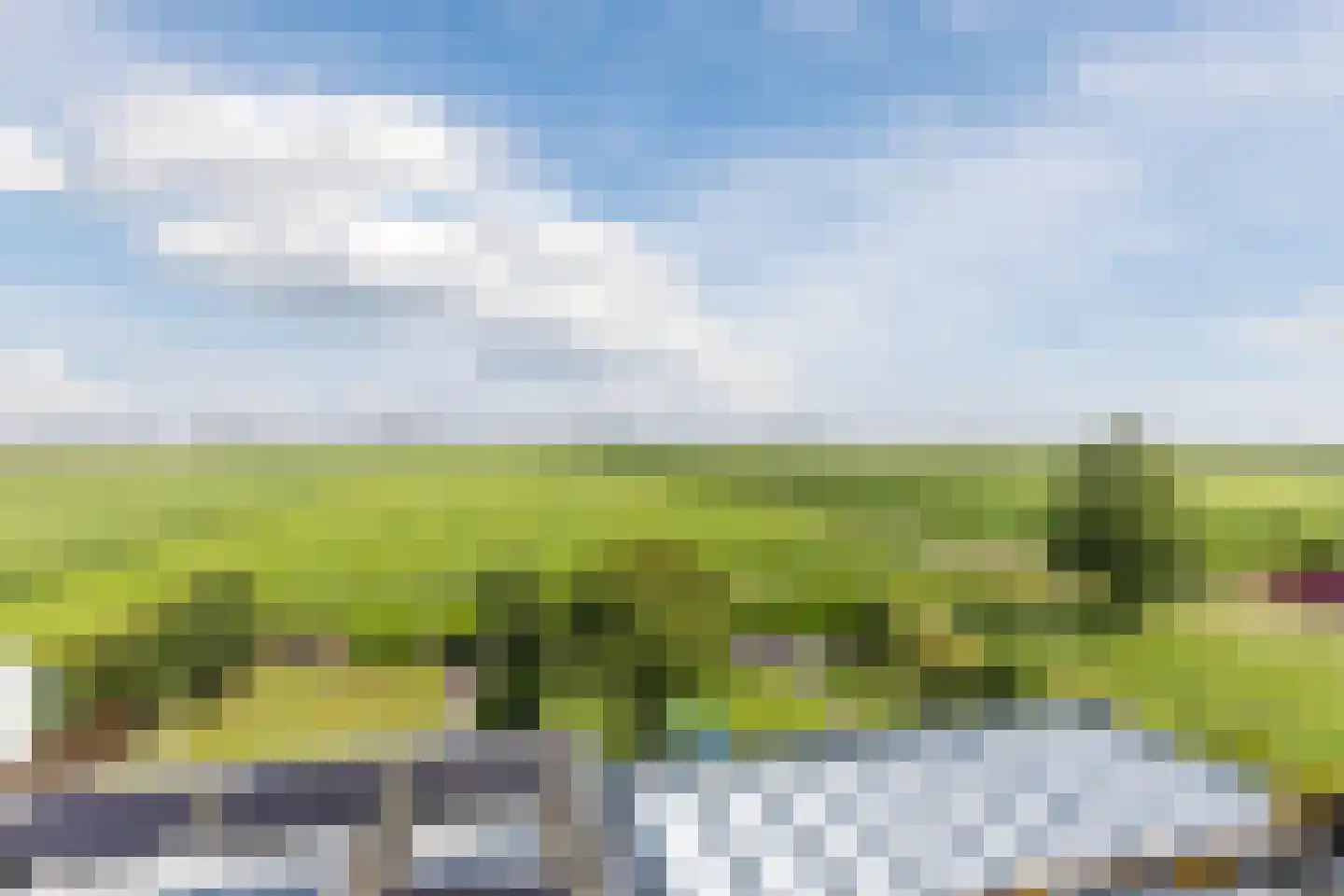 De Eendracht 11 Zuidschermer thumbnail 33