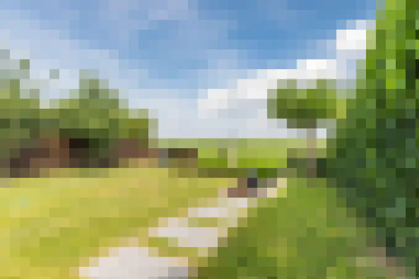 De Eendracht 11 Zuidschermer thumbnail 37