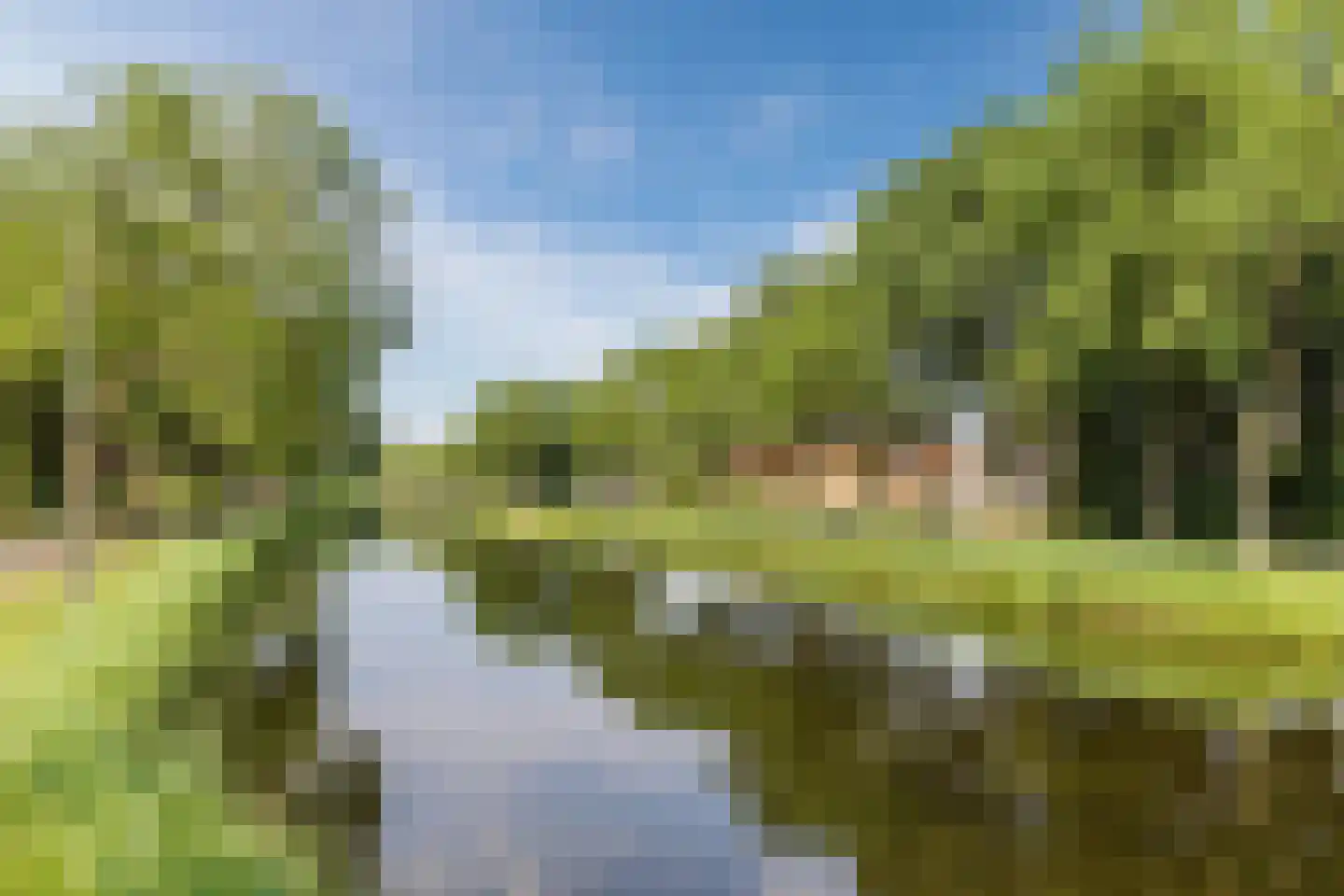 De Eendracht 11 Zuidschermer thumbnail 56