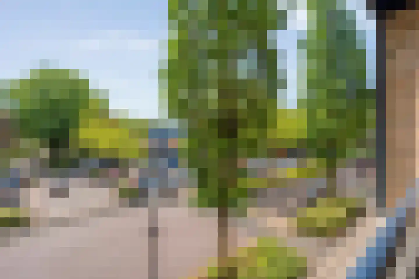 De Eendracht 110 Tubbergen thumbnail 18