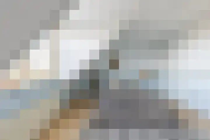 De Eendracht 13 De Rijp thumbnail 19