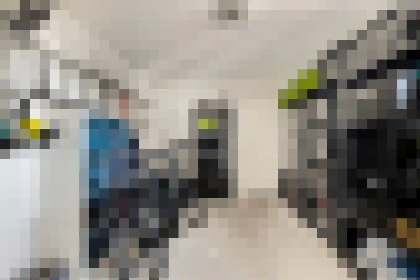 De Eendracht 13 Zuidschermer thumbnail 21