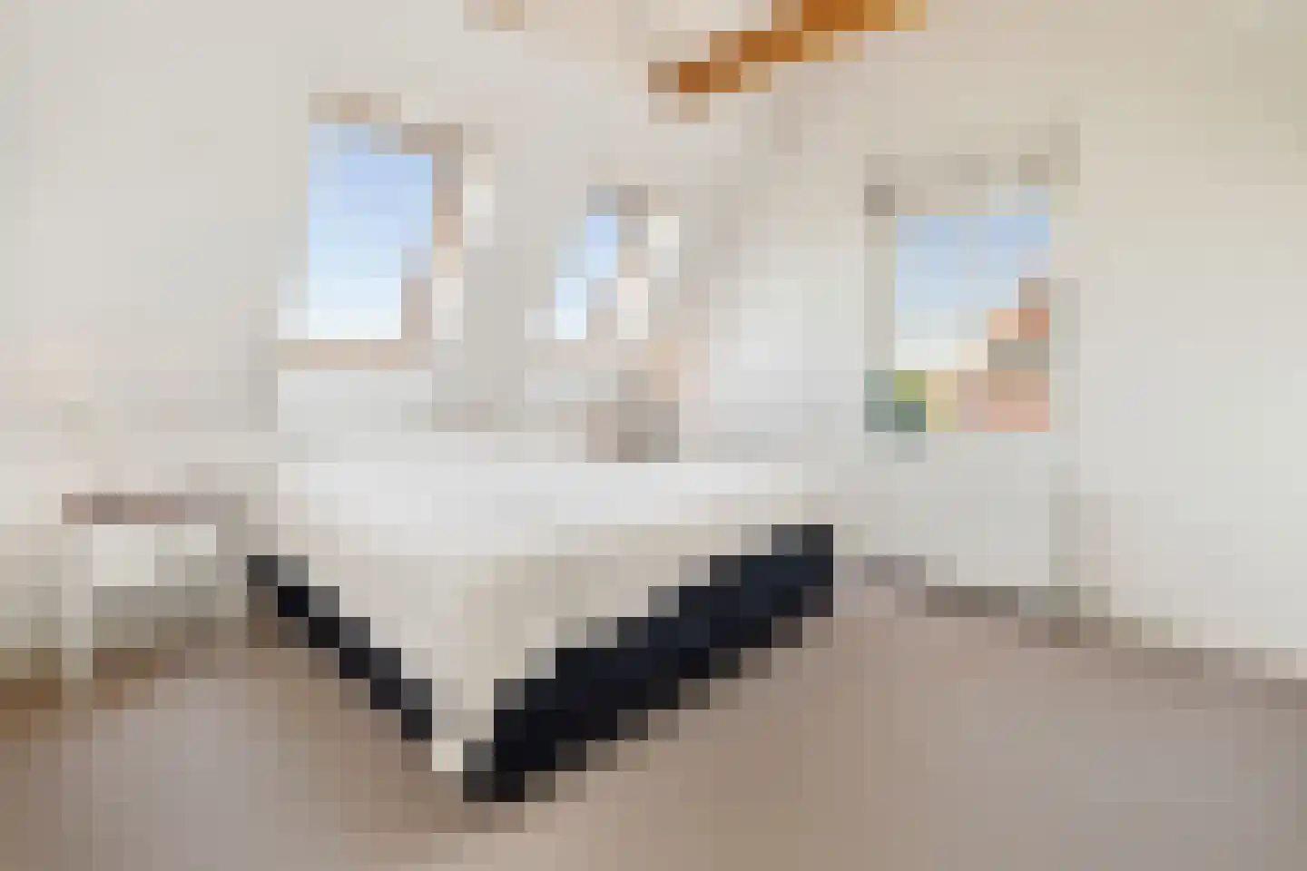 De Eendracht 13 Zuidschermer thumbnail 29